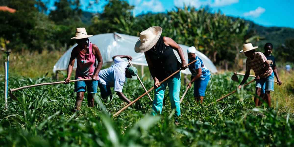Abren convocatoria en Cundinamarca para pequeños y medianos productores