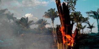 Se presentarán posibles incendios en las regiones Andina, Caribe y Orinoquía