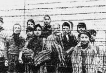 Día Internacional de las víctimas del holocausto