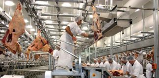 Colombia busca exportar carne a China