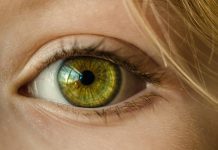 Semana de el glaucoma, ¿de qué se trata esta enfermedad?